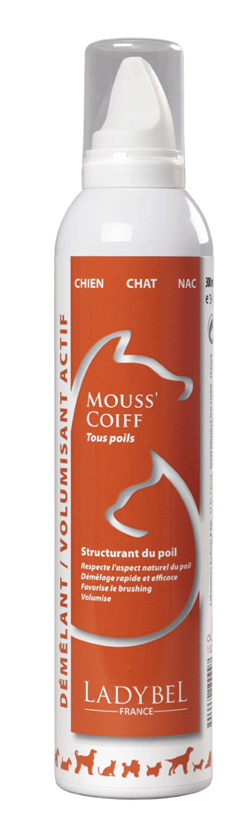 MOUSS'COIFF, Volumen Schaum, 300 ml